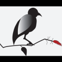 bellesheres1219 avatar