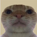 bellies-r-hot-lol avatar