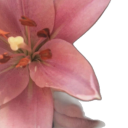 bellsluvschrissturn avatar