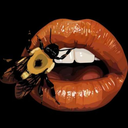 bellum-in-animo-cutis-vulnera avatar