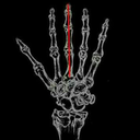 bellybellebelle avatar