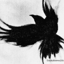 belovedpeonyxx avatar