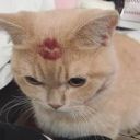 belowandaverage avatar