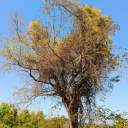 bemosley-blog avatar