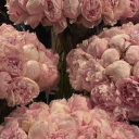 bemybutterfly42 avatar