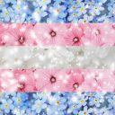 bender-of-life avatar