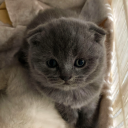 bendeyolumagideriiim avatar