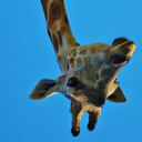 bendthatlikebender-blog avatar