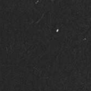 bendurustbikorsanimaslinda avatar