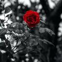 beneaththeattic avatar