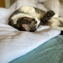 beneaththeblue avatar