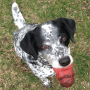 beneficialaddiction avatar