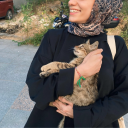 bengelmemeyegidenkadin avatar