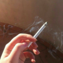 benimlekayboldunn avatar