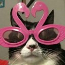 benimpapatyamsensin avatar