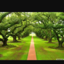 benjaminbrave-blog avatar