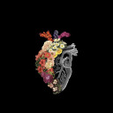 bennemeloalvilag avatar