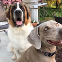 benningtonandbascom avatar