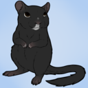 bennythegerbil avatar