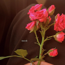 bensarikaranfil avatar