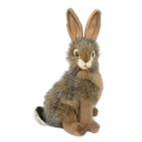 bensonboudreaux avatar