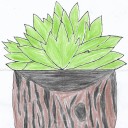 bentarb-jade-bronze avatar