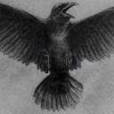 benzenedreaming avatar