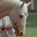 beowulfbateman avatar