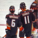 berabiesphobic avatar