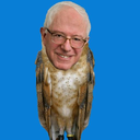 berdie-sanders avatar