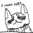 beret-cat-blog avatar