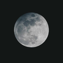 bergamotludidi avatar