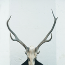 bergenreadsbooks avatar