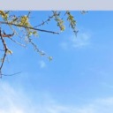 berkayisworld avatar