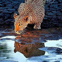 berkbeyy-blog-blog-blog avatar