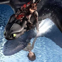 berkdragontrainer avatar