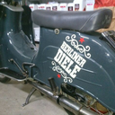 berliner-diele avatar