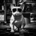 berlinslieblingskind avatar