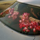 berniemustdie avatar