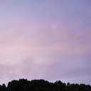 berozgarnaujawan avatar