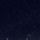 berry-crackers avatar