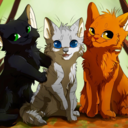 berrypawss-blog avatar