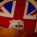 besavedbyaperfectkiss avatar