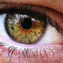 besaya-glantaya avatar