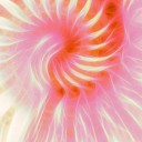 besosdecuartocreciente avatar