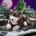 besserwisserer avatar