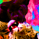 best-behavior avatar