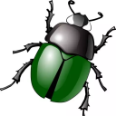 best-bug-tournament avatar