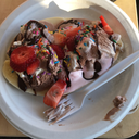 best-dinosaur avatar