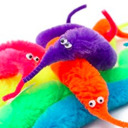 best-friend-of-worms avatar